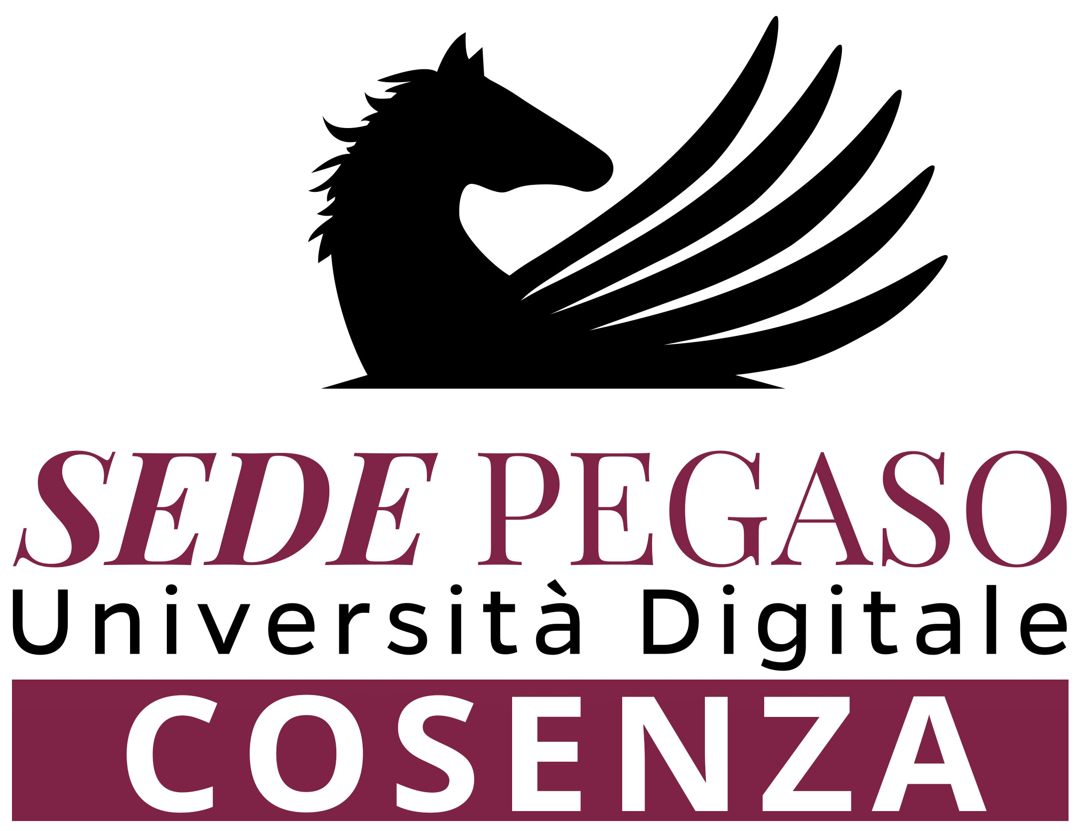 Pegaso Cosenza